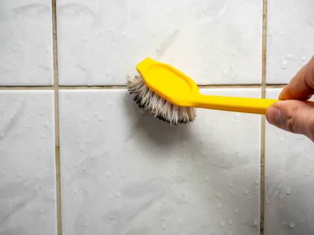 Best Residential Mold Remediation in Escanaba, MI