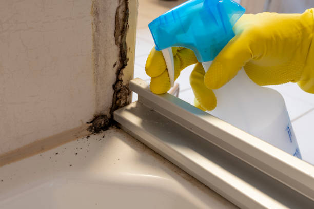 Best HVAC Mold Remediation in Escanaba, MI