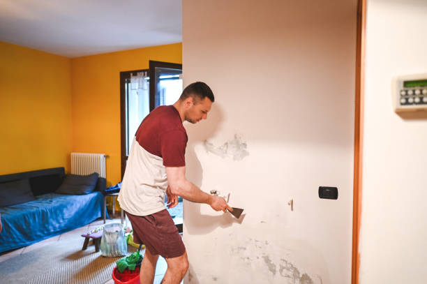 Best Emergency Mold Remediation in Escanaba, MI